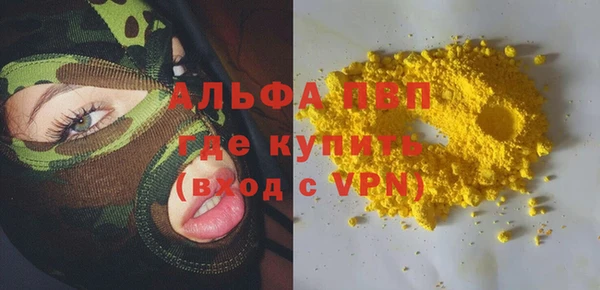 apvp Вяземский