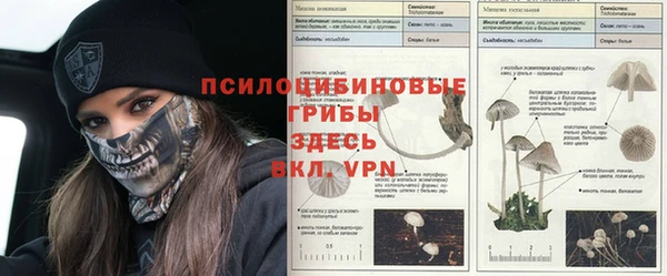 марки nbome Армянск